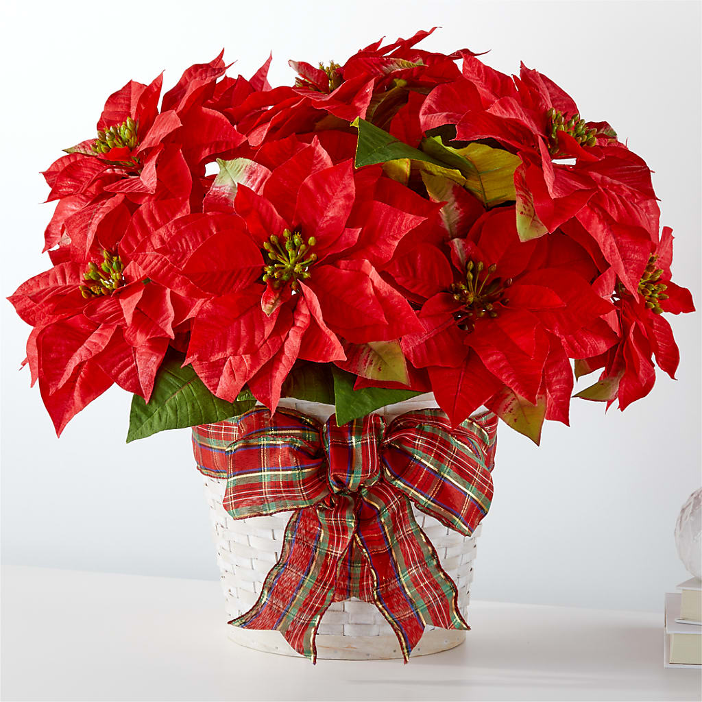Happiest Holidays Poinsettia – KELLEN'S FLORIST INC, Hobart IN
