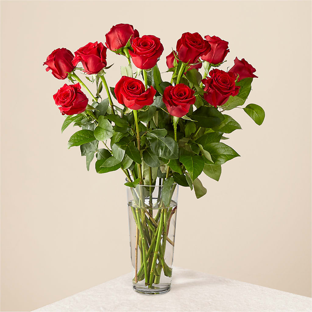 Long Stem Red Rose Bouquet – KELLEN'S FLORIST INC, Hobart IN