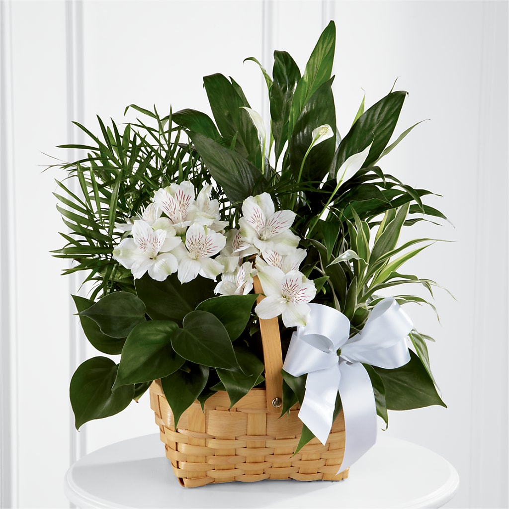 Peace & Serenity Dishgarden – KELLEN'S FLORIST INC, Hobart IN