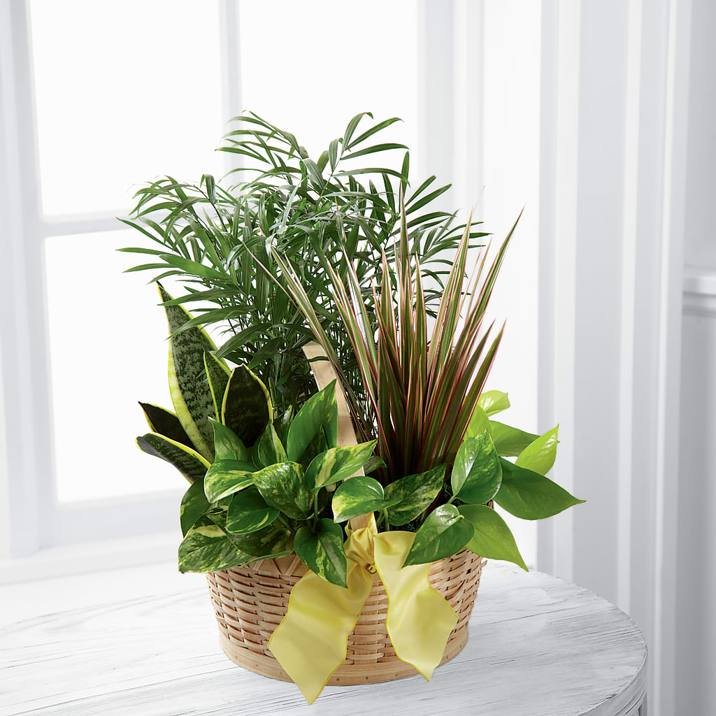 French Garden – KELLEN'S FLORIST INC, Hobart IN