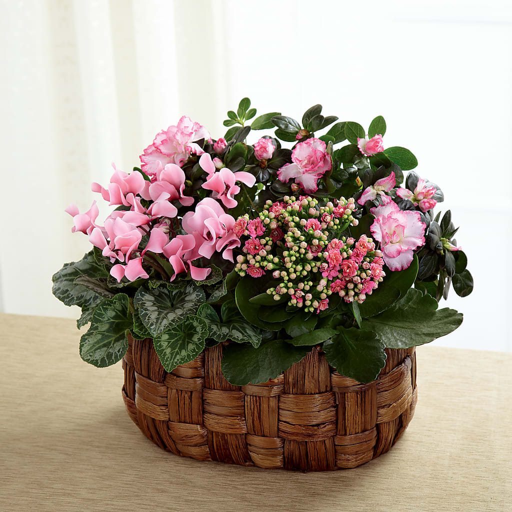 Pink Assortment – KELLEN'S FLORIST INC, Hobart IN