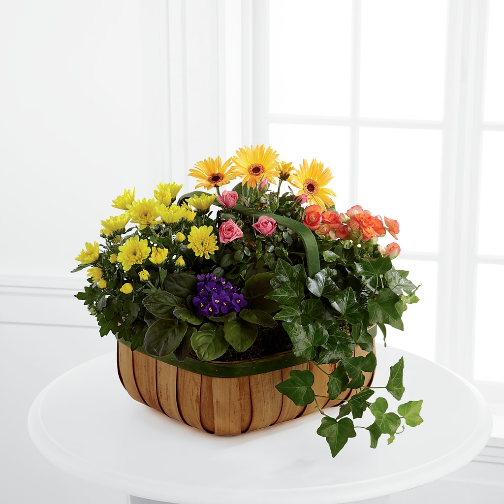 Gentle Blossoms Basket – KELLEN'S FLORIST INC, Hobart IN
