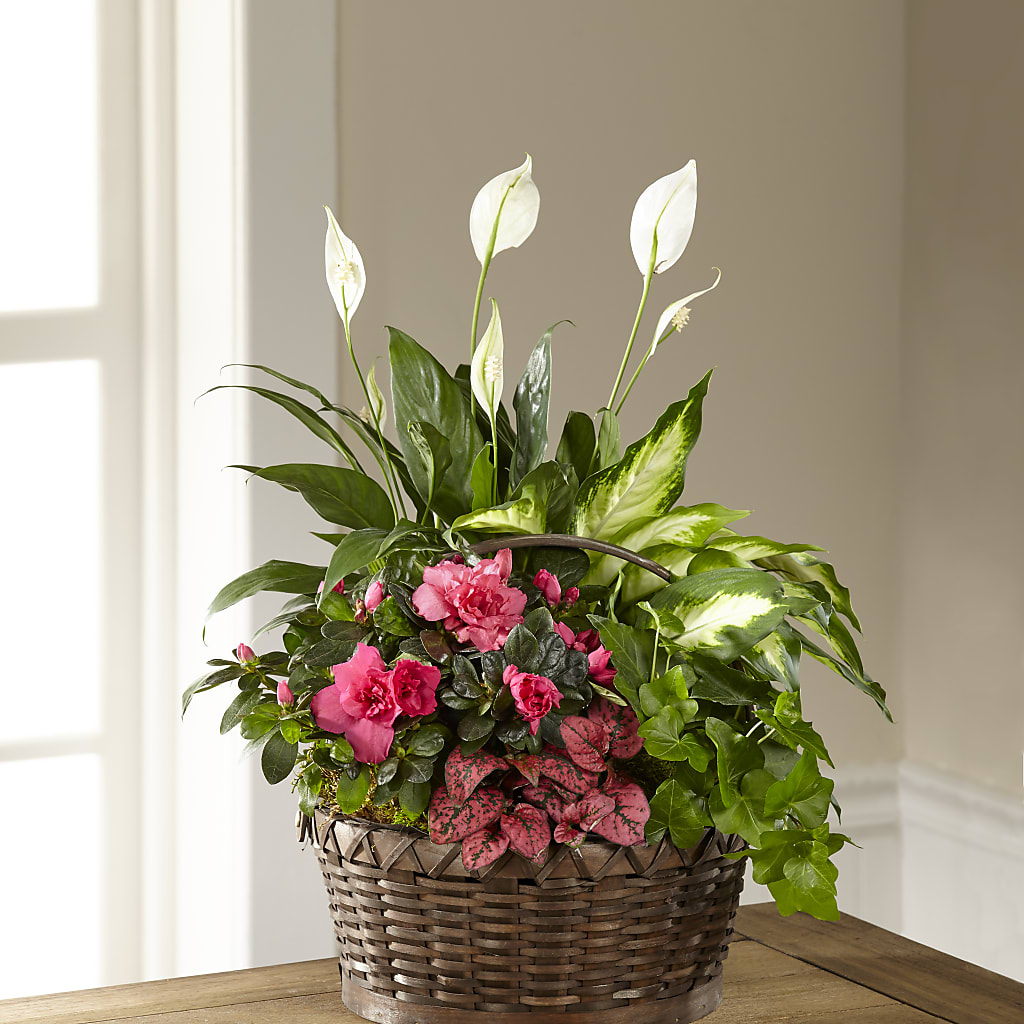 Dream in Pink Dishgarden – KELLEN'S FLORIST INC, Hobart IN
