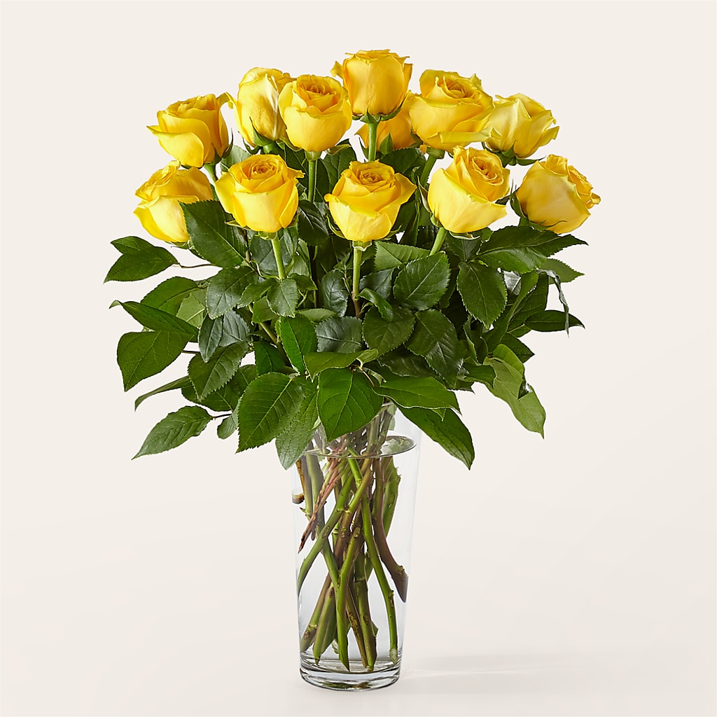 Long Stem Yellow Rose Bouquet – KELLEN'S FLORIST INC, Hobart IN