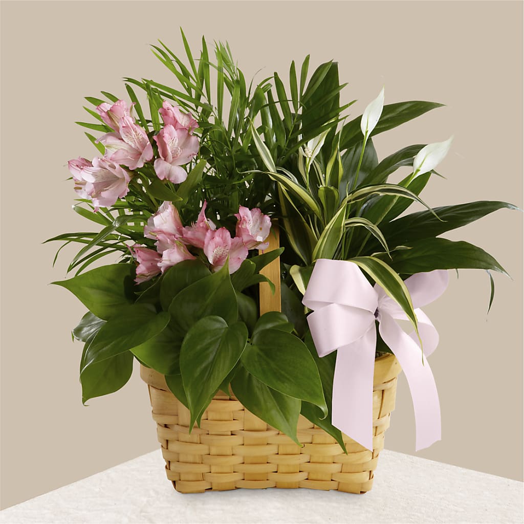 Living Spirit Dishgarden – KELLEN'S FLORIST INC, Hobart IN