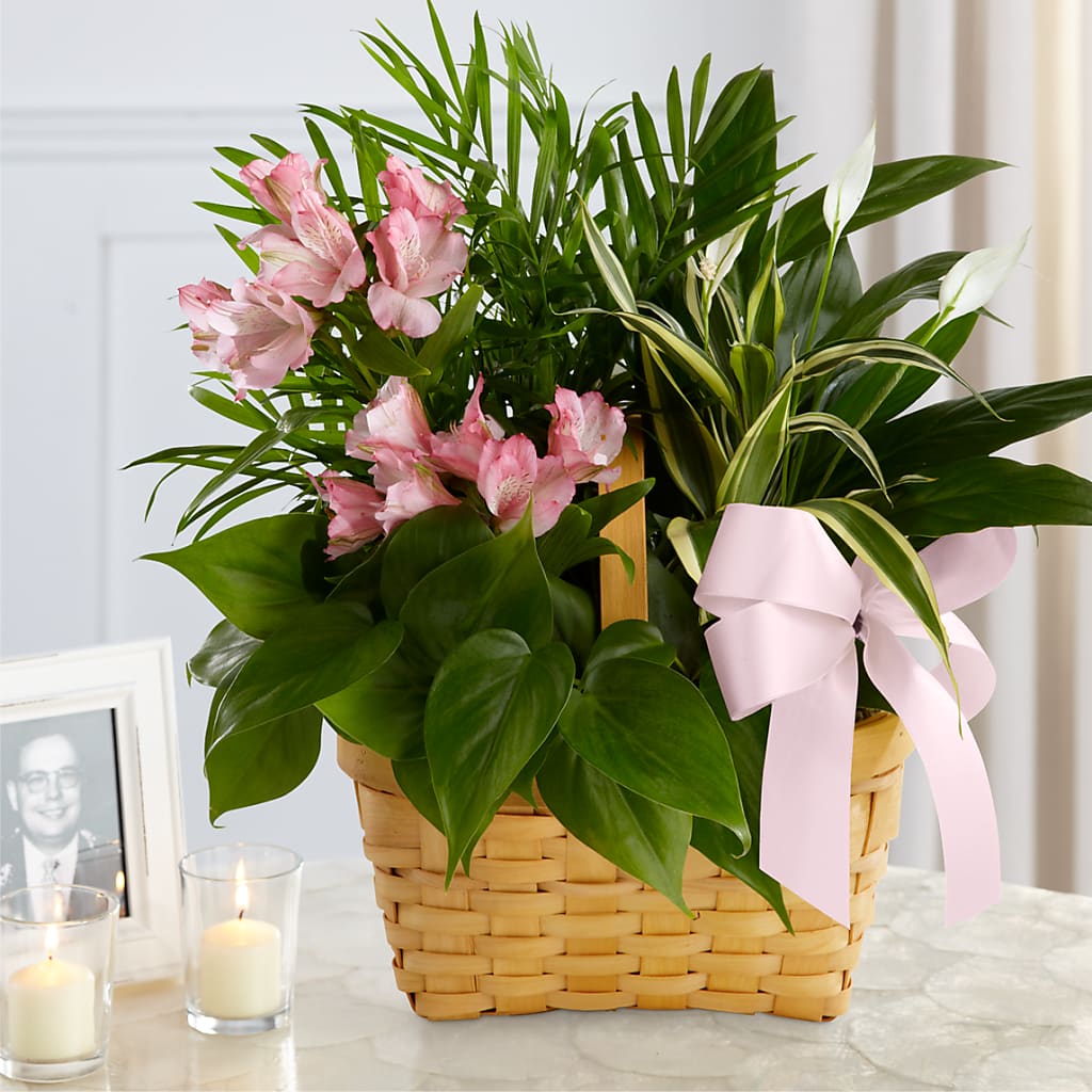 Living Spirit Dishgarden – KELLEN'S FLORIST INC, Hobart IN