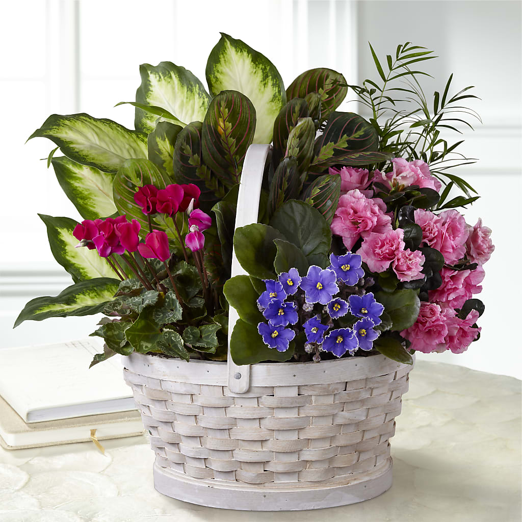 Peaceful Garden Planter – KELLEN'S FLORIST INC, Hobart IN