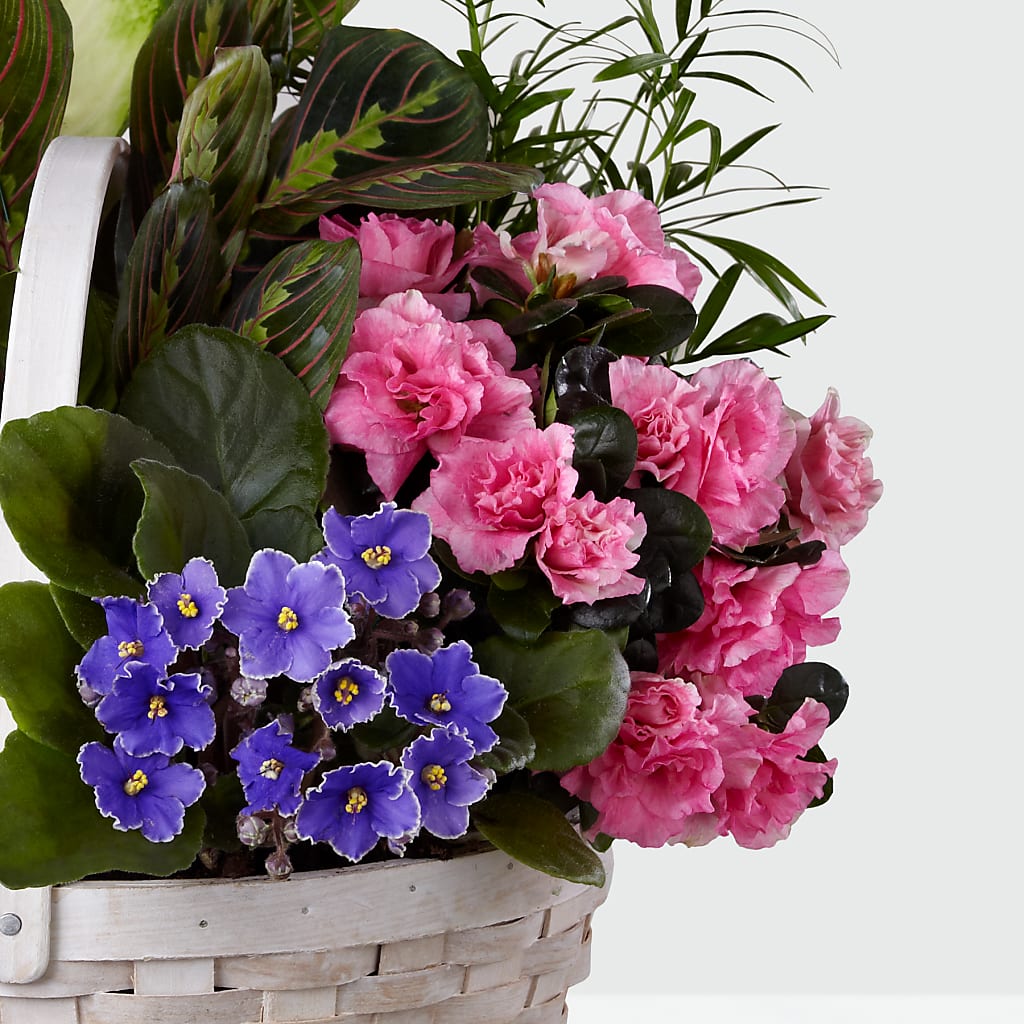 Peaceful Garden Planter – KELLEN'S FLORIST INC, Hobart IN