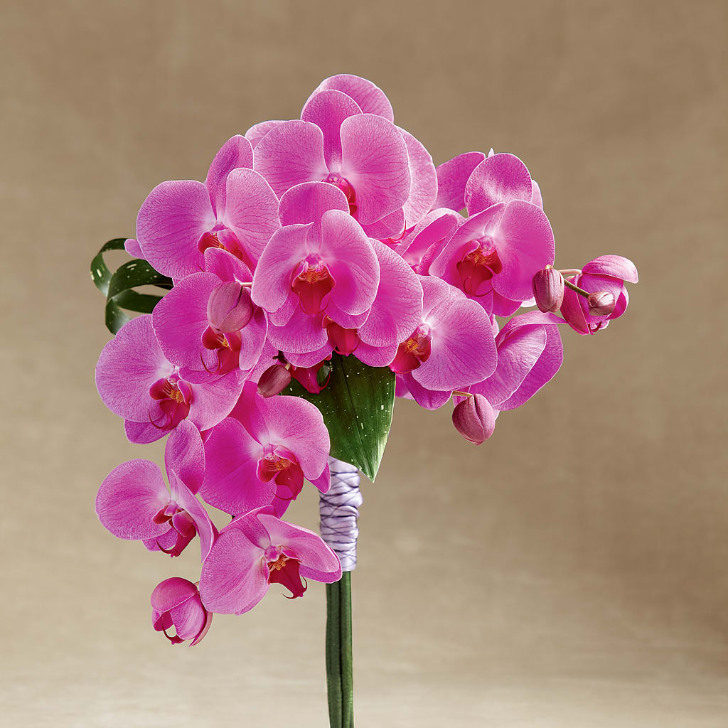 Glorious Bouquet – KELLEN'S FLORIST INC, Hobart IN