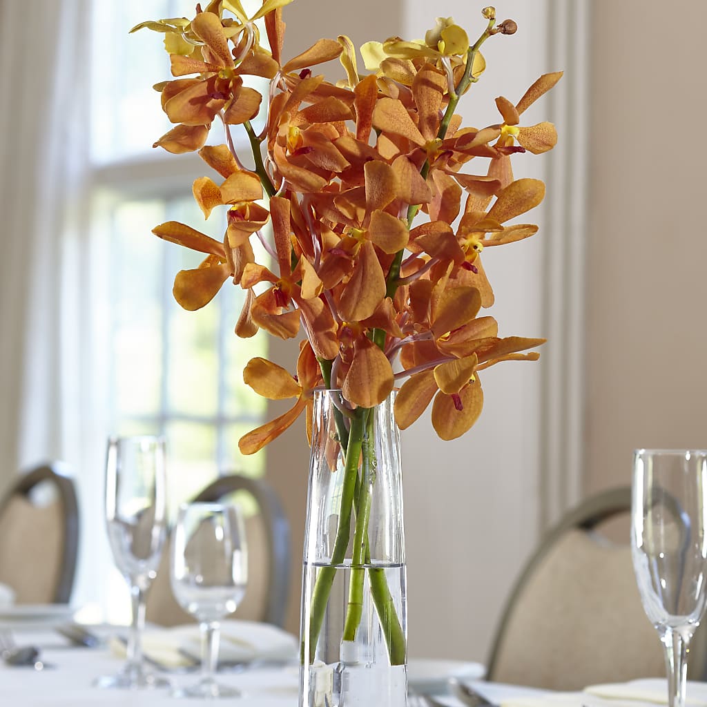 Orange Mokara Bud Vase – KELLEN'S FLORIST INC, Hobart IN