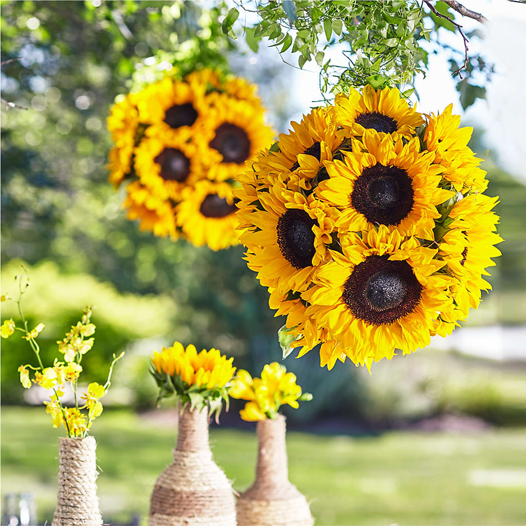 Sublime Garden Hanging Arrangement – KELLEN'S FLORIST INC, Hobart IN