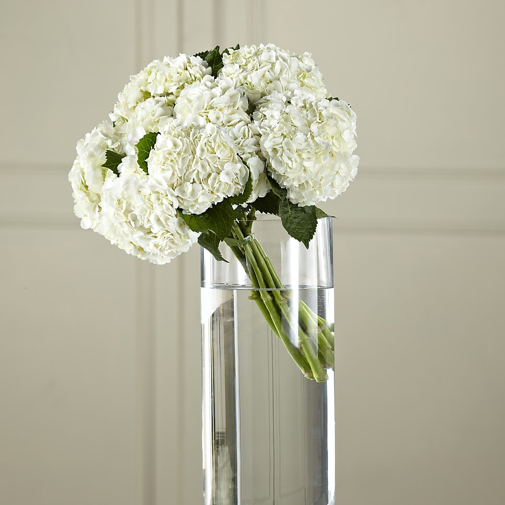 White Hydrangea Hand-Tied Bouquet – KELLEN'S FLORIST INC, Hobart IN