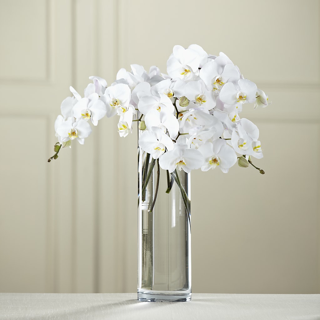White Phalaenopsis Bouquet – KELLEN'S FLORIST INC, Hobart IN