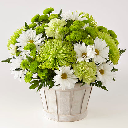 Lucky Charm Basket (Standard) – KELLEN'S FLORIST INC, Hobart IN