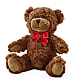 Adorable Plush Bear – KELLEN'S FLORIST INC, Hobart IN