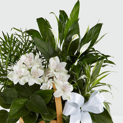 Peace & Serenity Dishgarden – KELLEN'S FLORIST INC, Hobart IN