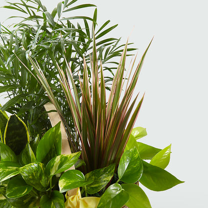 French Garden – KELLEN'S FLORIST INC, Hobart IN