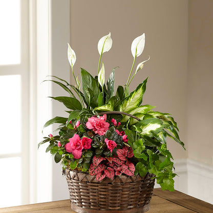 Dream in Pink Dishgarden – KELLEN'S FLORIST INC, Hobart IN