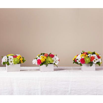 Sorbet Bouquet – KELLEN'S FLORIST INC, Hobart IN