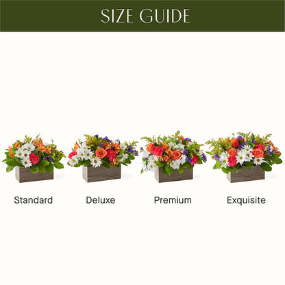 Oopsie Daisy Box Bouquet – KELLEN'S FLORIST INC, Hobart IN