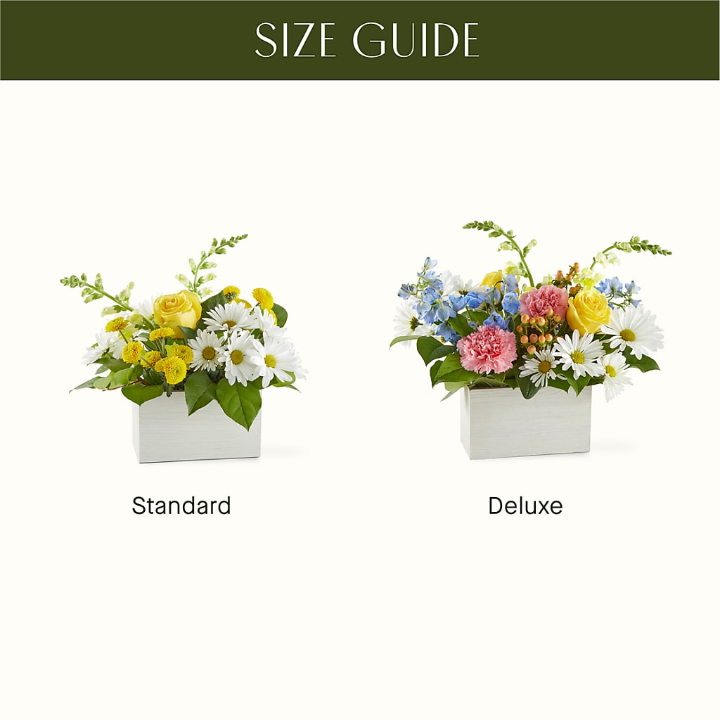 Sun Salutation Box Bouquet – KELLEN'S FLORIST INC, Hobart IN