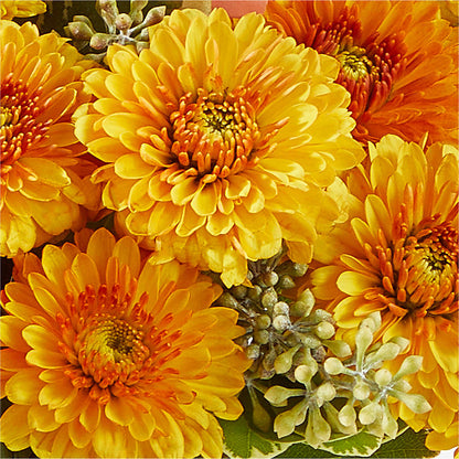 Peachy Pumpkin – KELLEN'S FLORIST INC, Hobart IN