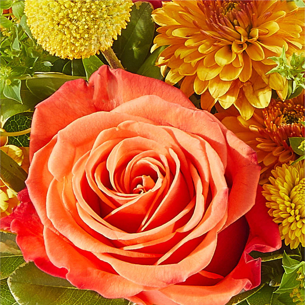 Gourdgeous Pumpkin – KELLEN'S FLORIST INC, Hobart IN