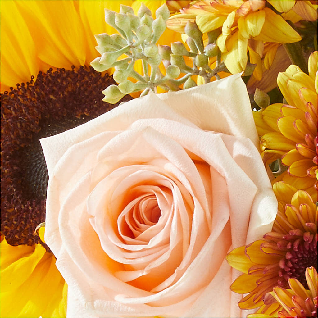 Pumpkin to Talk About Bouquet – KELLEN'S FLORIST INC, Hobart IN