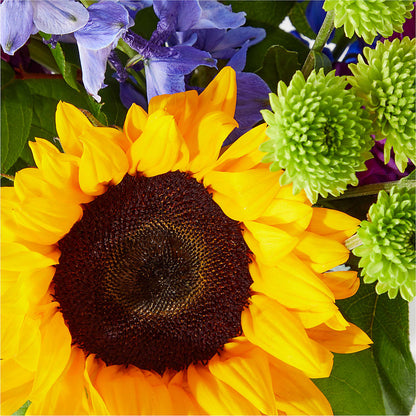 Catching Rays Bouquet – KELLEN'S FLORIST INC, Hobart IN