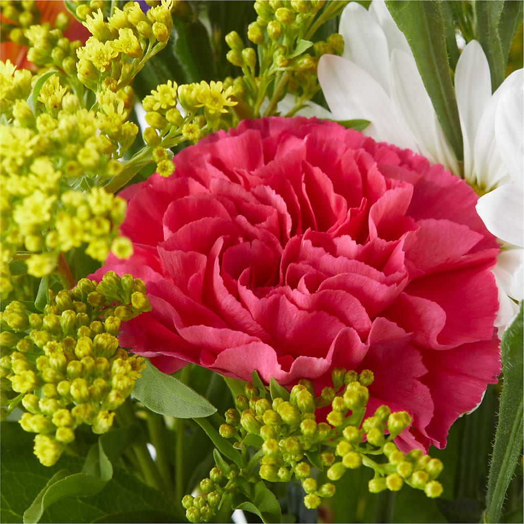 Oopsie Daisy Bouquet – KELLEN'S FLORIST INC, Hobart IN