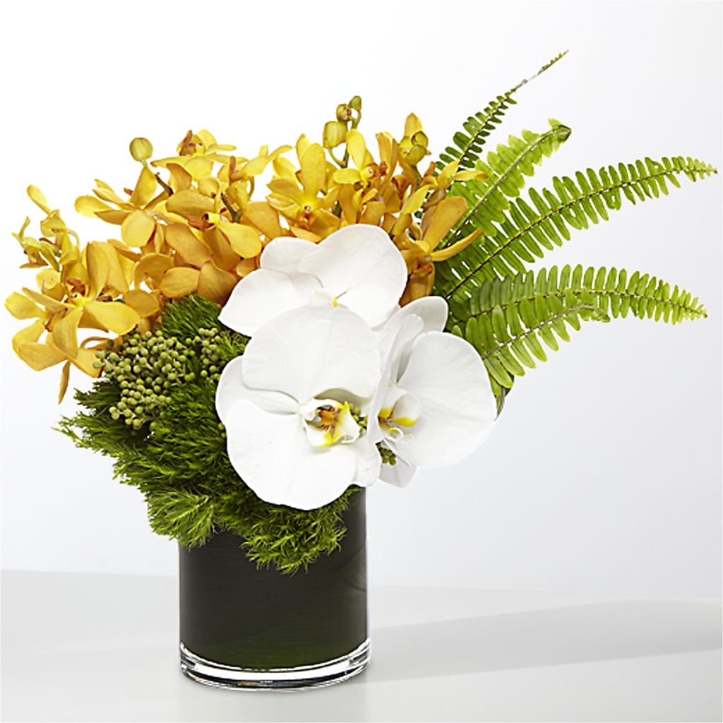 The Tropics – KELLEN'S FLORIST INC, Hobart IN
