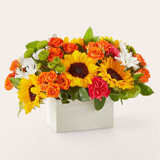 Sun-drenched Blooms Box Bouquet – KELLEN'S FLORIST INC, Hobart IN