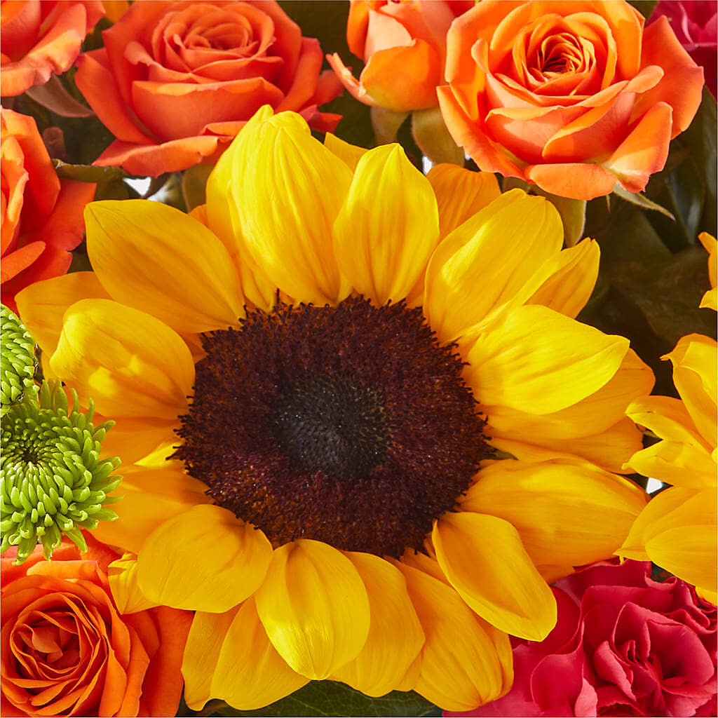 Sun-drenched Blooms Box Bouquet – KELLEN'S FLORIST INC, Hobart IN