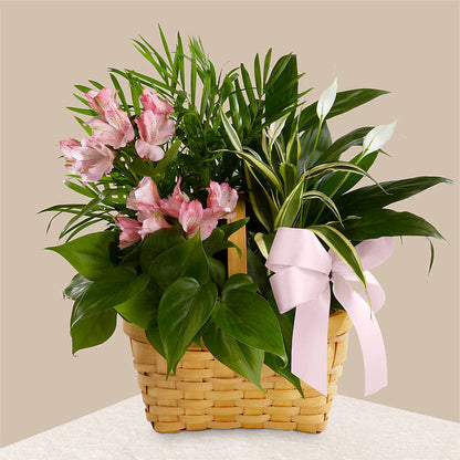 Living Spirit Dishgarden – KELLEN'S FLORIST INC, Hobart IN