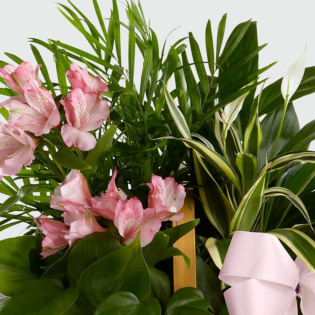 Living Spirit Dishgarden – KELLEN'S FLORIST INC, Hobart IN