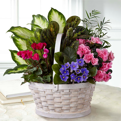 Peaceful Garden Planter – KELLEN'S FLORIST INC, Hobart IN