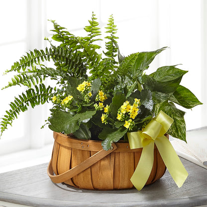 Always Dear Dishgarden – KELLEN'S FLORIST INC, Hobart IN