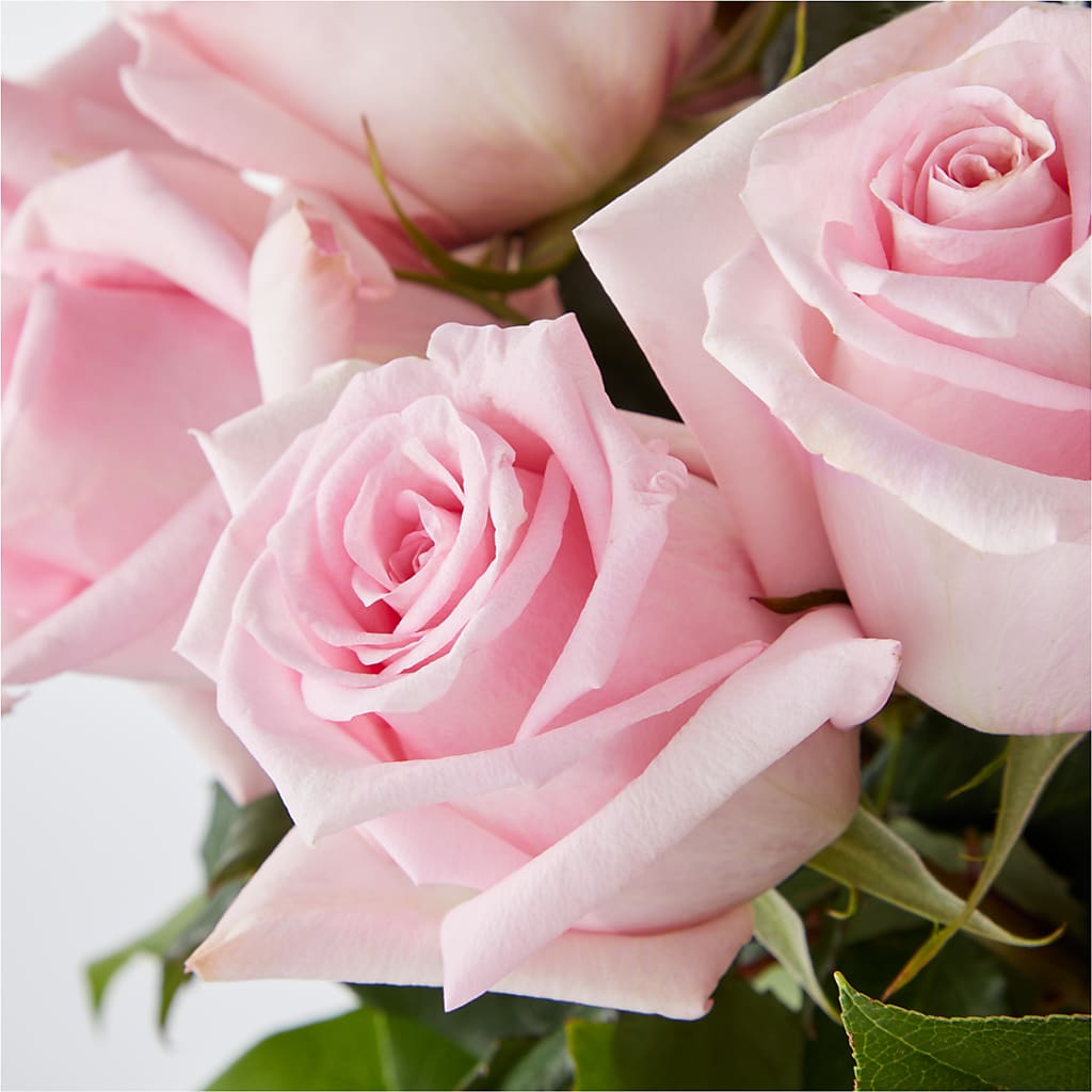 Picture Perfect Pink Rose Bouquet – KELLEN'S FLORIST INC, Hobart IN