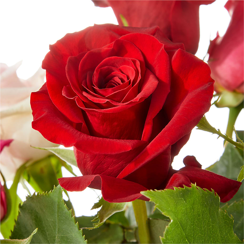 Love Notes Rose Bouquet – KELLEN'S FLORIST INC, Hobart IN