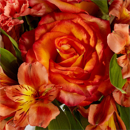 Apricot Glow Bouquet – KELLEN'S FLORIST INC, Hobart IN