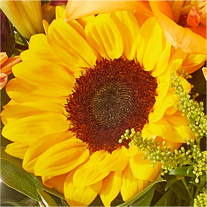 Seasons Change Bouquet – KELLEN'S FLORIST INC, Hobart IN