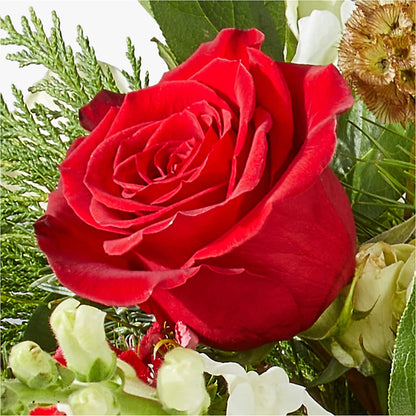 Deck the Halls Bouquet – KELLEN'S FLORIST INC, Hobart IN