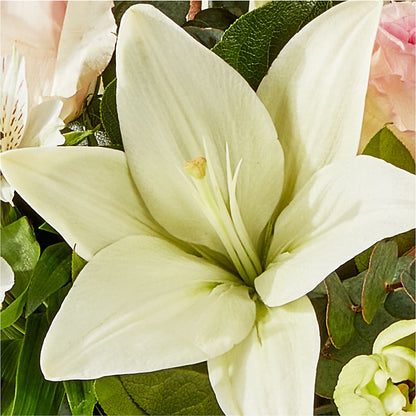 Ballet Slippers Bouquet – KELLEN'S FLORIST INC, Hobart IN