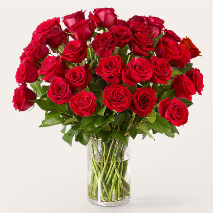 The One Red Rose Bouquet – KELLEN'S FLORIST INC, Hobart IN