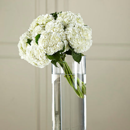 White Hydrangea Hand-Tied Bouquet – KELLEN'S FLORIST INC, Hobart IN