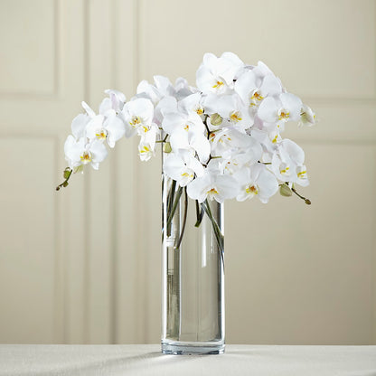 White Phalaenopsis Bouquet – KELLEN'S FLORIST INC, Hobart IN